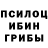 Псилоцибиновые грибы MAGIC MUSHROOMS Rojo Rampage