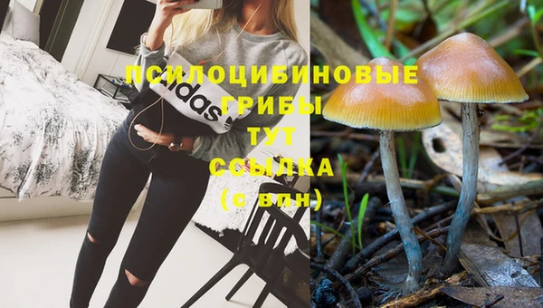 spice Абинск